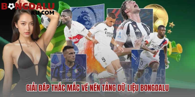 Giải đáp các thắc mắc phổ biến về nguồn dữ liệu và chi phí