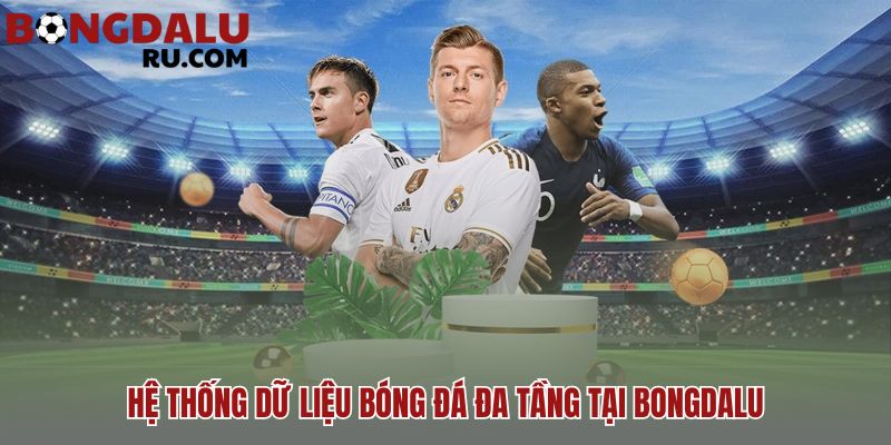 Hệ thống dữ liệu Bongdalu cấu trúc đa tầng liên kết chặt chẽ